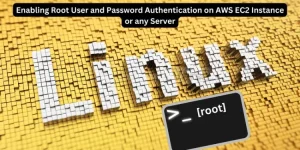 How to Enable Root Access on EC2 Instance