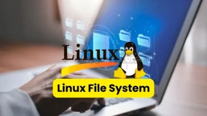 Basics of Linux File System